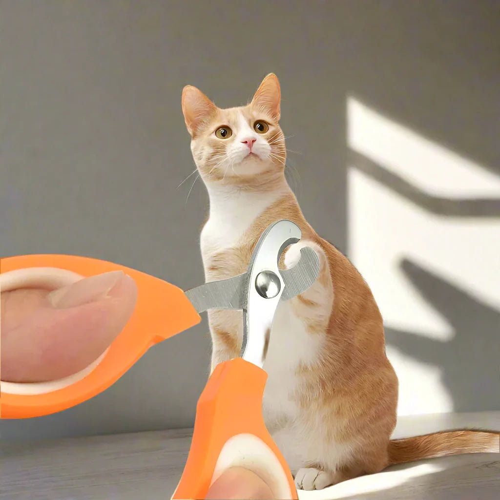 Coupe Ongle pour Chat - PetCatNailScissor™ - Orange Blanc