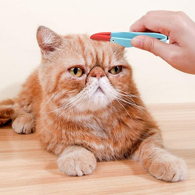 Brosse Pour Chat - CatEyeCleaningBrush™ - Bleu