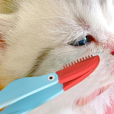 Brosse Pour Chat - CatEyeCleaningBrush™ - Bleu